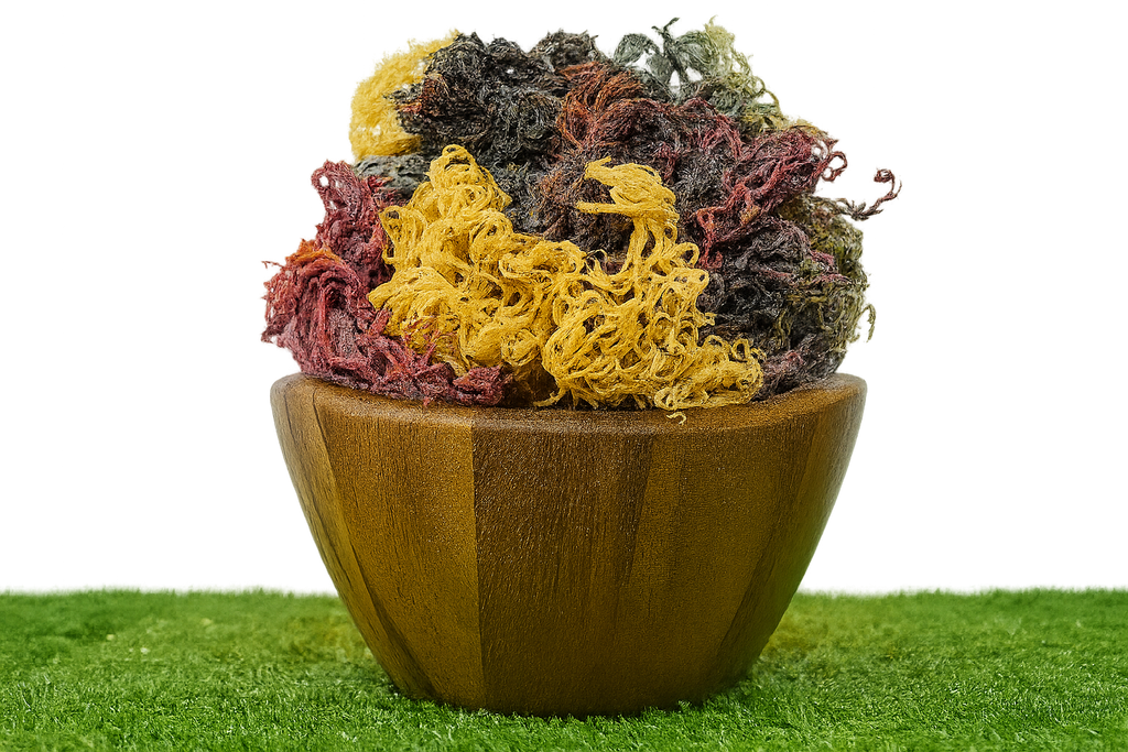 Full Spectrum Seamoss: Nature's Nutrient-Packed Treasure-4