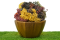 Full Spectrum Seamoss: Nature's Nutrient-Packed Treasure-4